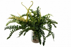 067 Veštačke paprati